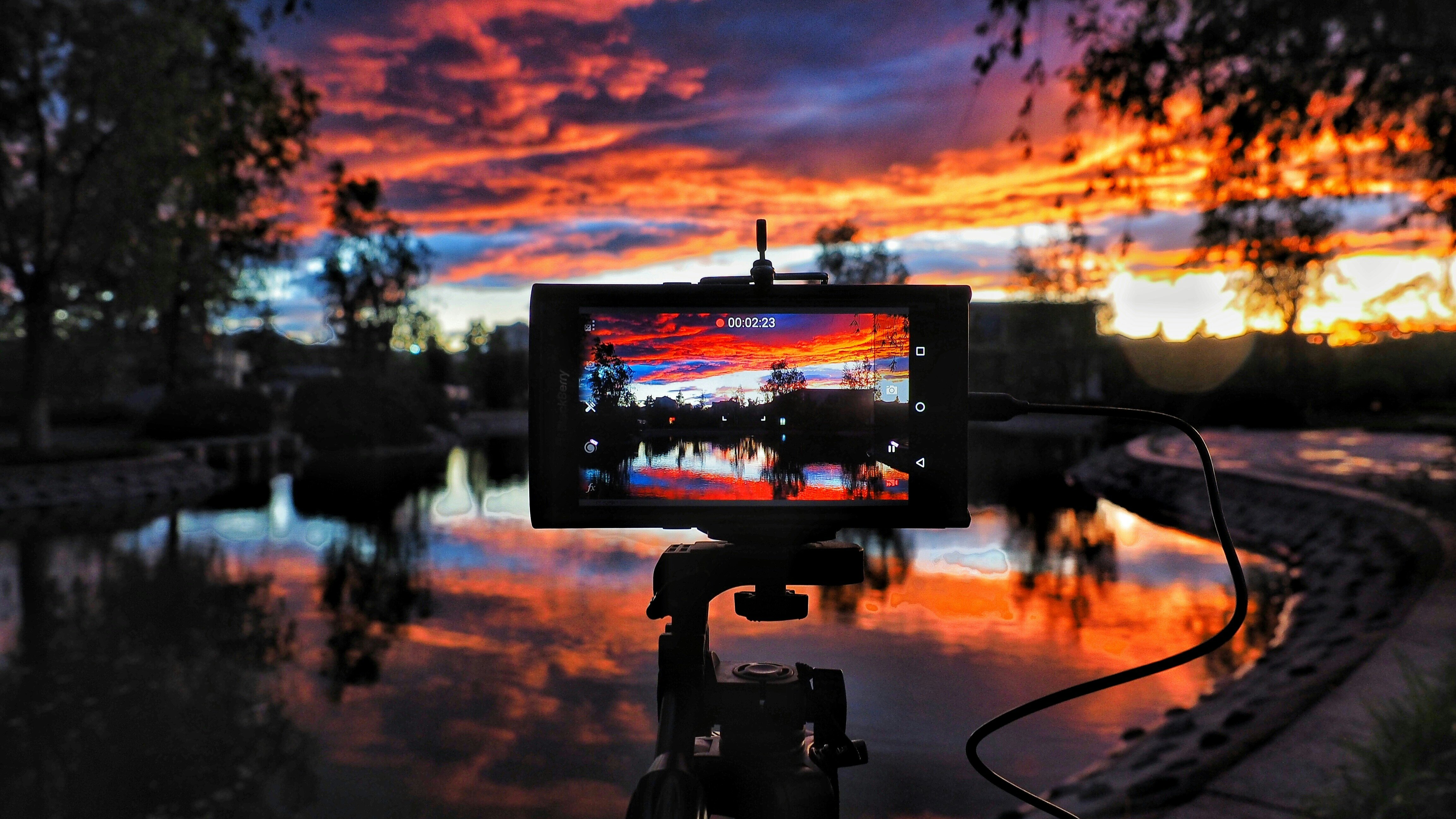 Photo by Jimmy Chang, Unsplash